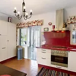 Fani 1